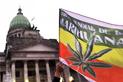 venta-libre,-autocultivo-y-borron-penal:-la-izquierda-presento-un-proyecto-para-legalizar-la-marihuana-al-100%