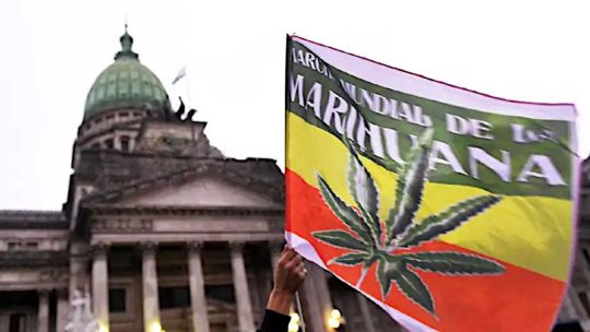 venta-libre,-autocultivo-y-borron-penal:-la-izquierda-presento-un-proyecto-para-legalizar-la-marihuana-al-100%