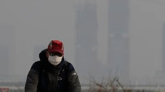 un-estudio-determino-que-una-hora-de-exposicion-a-la-contaminacion-ambiental-bastan-para-alterar-las-funciones-cerebrales-y-pulmonares