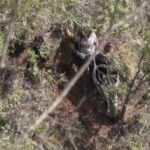 su-expareja-la-secuestro,-y-el-empujon-por-un-acantilado