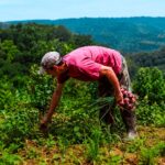“ahora-chacra”-comenzara-el-1°-de-junio-con-reintegros-de-hasta-$100-mil-para-productores