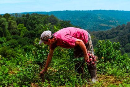 “ahora-chacra”-comenzara-el-1°-de-junio-con-reintegros-de-hasta-$100-mil-para-productores