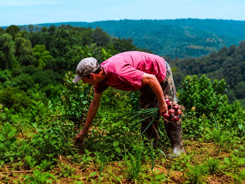 “ahora-chacra”-comenzara-el-1°-de-junio-con-reintegros-de-hasta-$100-mil-para-productores