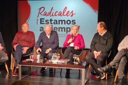 sectores-de-la-ucr-piden-que-se-unifiquen-sus-bloques-legislativos-y-que-no-acompanen-la-eliminacion-de-las-paso