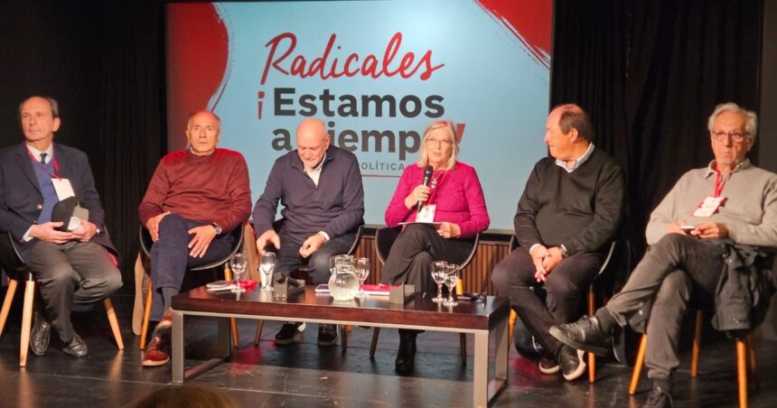 sectores-de-la-ucr-piden-que-se-unifiquen-sus-bloques-legislativos-y-que-no-acompanen-la-eliminacion-de-las-paso