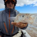 aparecen-los-gran-berisso-en-el-rio-de-la-plata