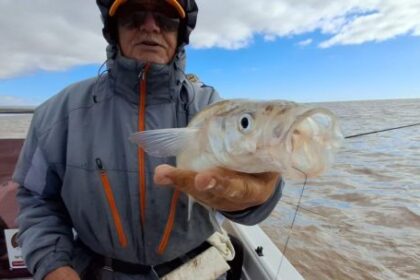 aparecen-los-gran-berisso-en-el-rio-de-la-plata