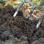 de-desecho-industrial-a-fertilizante-organico:-transforman-residuo-bovino-en-compost-de-alta-calidad