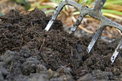 de-desecho-industrial-a-fertilizante-organico:-transforman-residuo-bovino-en-compost-de-alta-calidad