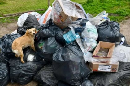 basura,-ratas-y-oscuridad:-estalla-la-bronca-vecinal-en-la-plata-tras-la-municipalizacion-de-la-recoleccion