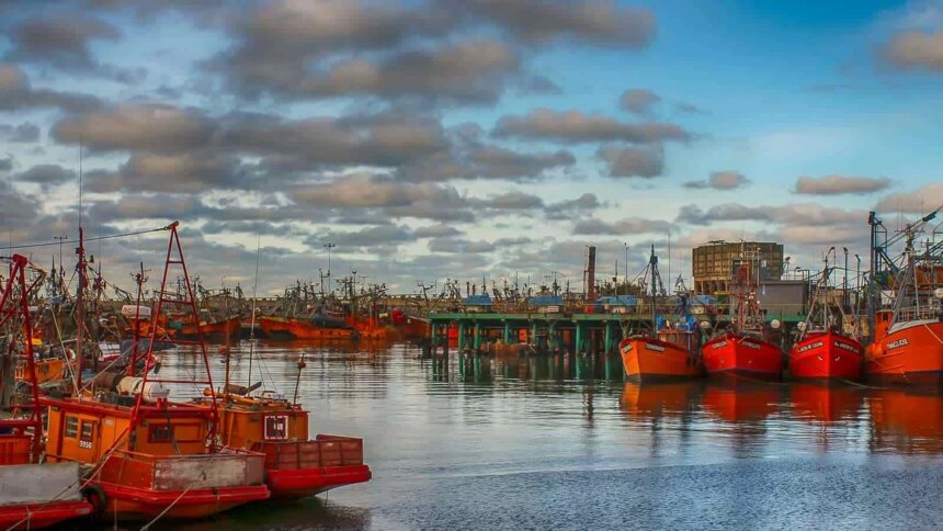 mar-del-plata:-vecinos-denuncian-a-coomarpes-y-otras-harineras-del-puerto-por-contaminacion-del-aire-y-malos-olores
