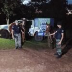 rastreos-de-la-policia-rural-permitieron-recuperar-dos-caballos-robados-en-san-ignacio