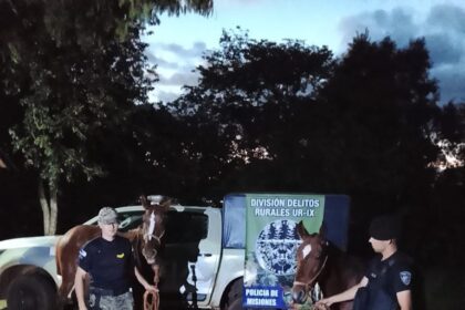 rastreos-de-la-policia-rural-permitieron-recuperar-dos-caballos-robados-en-san-ignacio