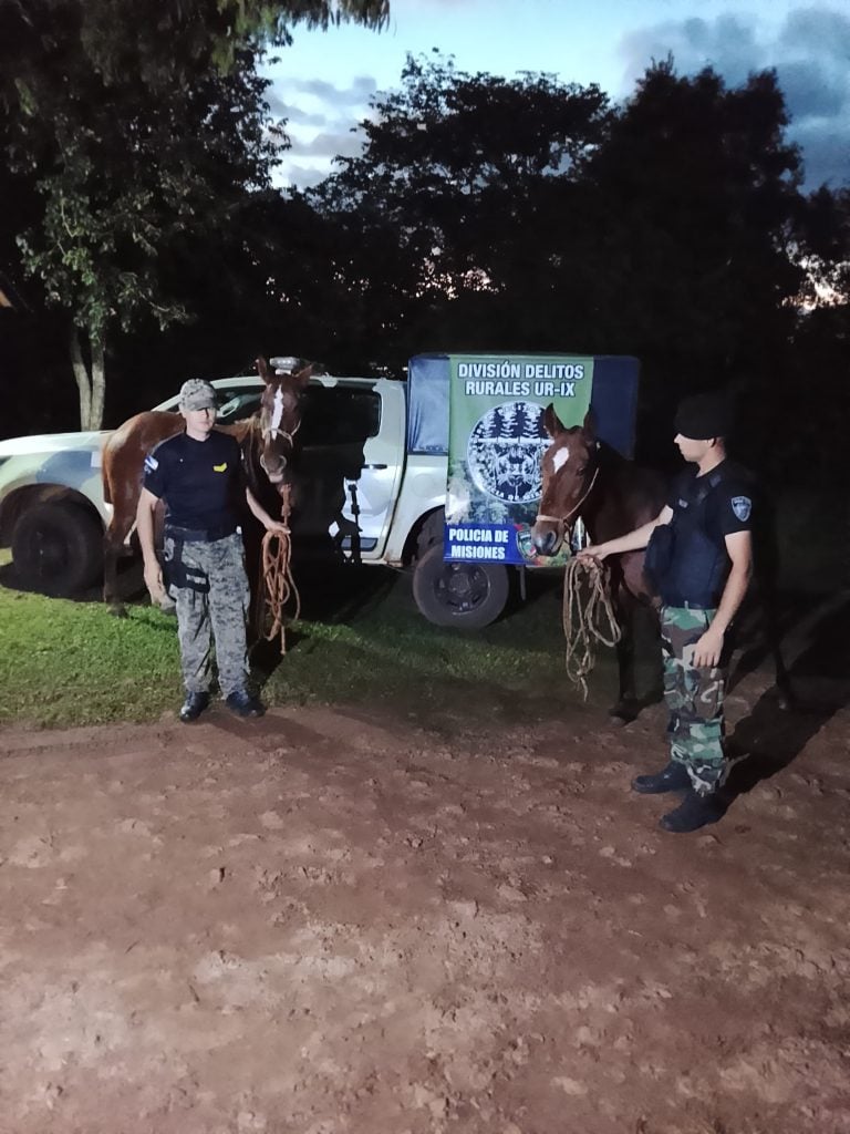 rastreos-de-la-policia-rural-permitieron-recuperar-dos-caballos-robados-en-san-ignacio