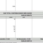 el-gobierno-anuncio-cambios-en-los-recibos-de-sueldo:-como-sera-el-nuevo-formato-que-detallara-los-descuentos
