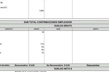 el-gobierno-anuncio-cambios-en-los-recibos-de-sueldo:-como-sera-el-nuevo-formato-que-detallara-los-descuentos