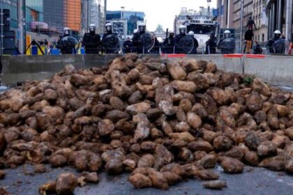 agricultores-europeos-tiran-cosechas-enteras-de-papas-por-falta-de-compradores