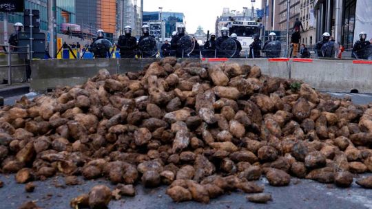 agricultores-europeos-tiran-cosechas-enteras-de-papas-por-falta-de-compradores