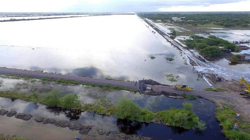 el-gobierno-declaro-la-emergencia-agropecuaria-en-zonas-de-santa-fe-hasta-septiembre