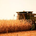 nacion-oficializo-la-baja-de-retenciones-para-el-agro:-como-quedan-y-a-que-granos-alcanza