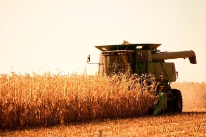 nacion-oficializo-la-baja-de-retenciones-para-el-agro:-como-quedan-y-a-que-granos-alcanza