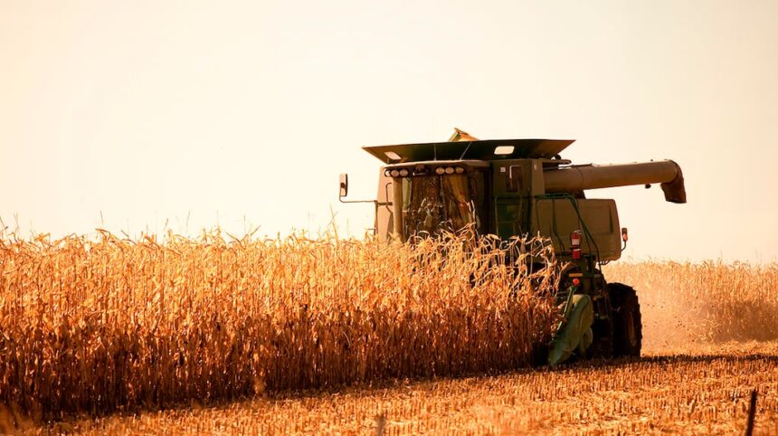 nacion-oficializo-la-baja-de-retenciones-para-el-agro:-como-quedan-y-a-que-granos-alcanza