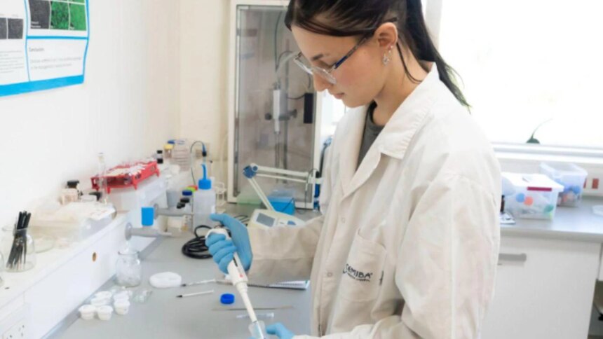 cientificos-argentinos-desarrollan-una-pasta-capaz-de-regenerar-huesos-y-reducir-la-dependencia-de-insumos-importados