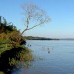 ecologia-confirmo-que-no-se-presento-estudio-de-impacto-ambiental-sobre-proyectos-de-grandes-hidroelectricas-en-corpus-–-pindo-i