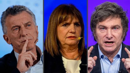 tras-la-objecion-de-bullrich,-el-pro-desafio-a-milei-por-el-pliego-de-michelli:-“es-potestad-de-los-senadores,-no-del-presidente”