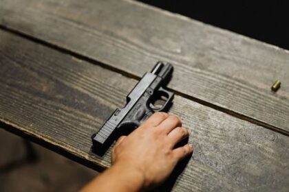 luces-y-sombras-de-los-cambios-de-ley-que-aprobo-el-senado-en-tenencia-y-destruccion-de-armas