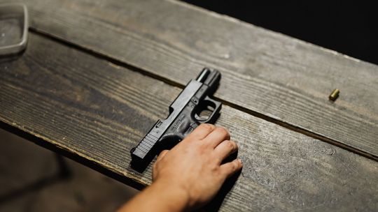 luces-y-sombras-de-los-cambios-de-ley-que-aprobo-el-senado-en-tenencia-y-destruccion-de-armas