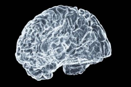 un-estudio-realizado-por-cientificos-brasilenos-hallo-microplasticos-en-el-tejido-cerebral-de-cadaveres