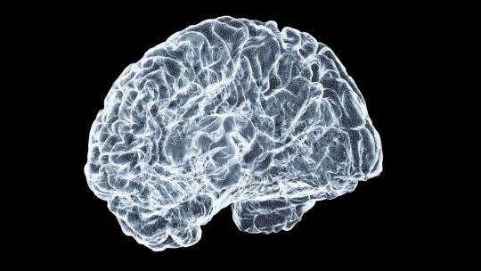 un-estudio-realizado-por-cientificos-brasilenos-hallo-microplasticos-en-el-tejido-cerebral-de-cadaveres