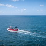 uno-de-los-mayores-fabricantes-de-electro-crece-en-el-negocio-de-la-pesca:-compro-una-empresa-para-exportar-una-particular-especie