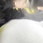 femicidio-de-agostina-vega:-detuvieron-a-un-hombre-que-vivia-en-la-casa-de-barrelier