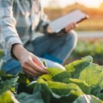 alerta-por-el-uso-de-agroquimicos-en-corrientes-tras-la-intoxicacion-de-un-profesional