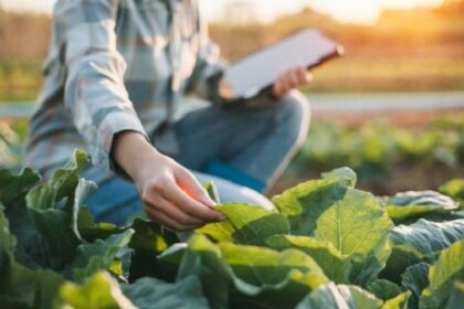 alerta-por-el-uso-de-agroquimicos-en-corrientes-tras-la-intoxicacion-de-un-profesional