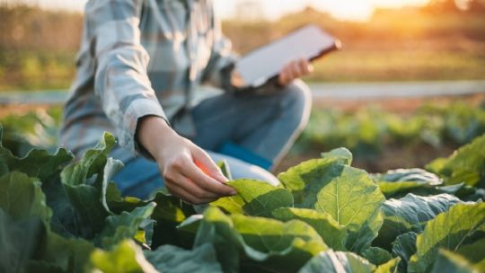 alerta-por-el-uso-de-agroquimicos-en-corrientes-tras-la-intoxicacion-de-un-profesional