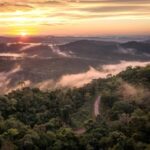 misiones-busca-blindar-su-selva-con-un-escudo-satelital-de-avanzada