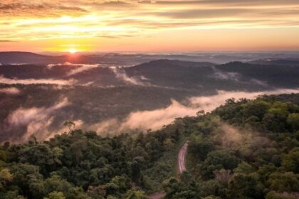 misiones-busca-blindar-su-selva-con-un-escudo-satelital-de-avanzada