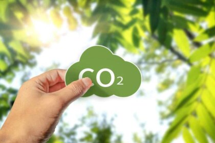 investigadores-de-yale-desarrollan-una-hoja-artificial-que-transforma-dioxido-de-carbono-en-metanol-verde