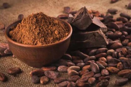 el-mito-del-cacao:-la-estrategia-de-las-marcas-para-vender-aceite-vegetal-como-“chocolate”