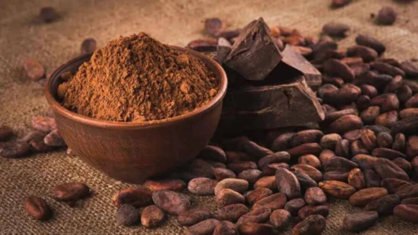 el-mito-del-cacao:-la-estrategia-de-las-marcas-para-vender-aceite-vegetal-como-“chocolate”