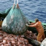 mar-argentino:-denuncian-que-barcos-extranjeros-sacan-hasta-cuatro-veces-mas-pescado-que-la-industria-nacional