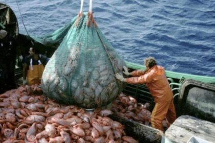 mar-argentino:-denuncian-que-barcos-extranjeros-sacan-hasta-cuatro-veces-mas-pescado-que-la-industria-nacional
