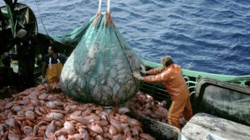 mar-argentino:-denuncian-que-barcos-extranjeros-sacan-hasta-cuatro-veces-mas-pescado-que-la-industria-nacional
