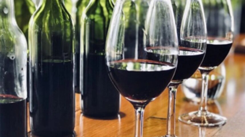 ¿un-vino-turbio-es-mas-sano?-la-revolucion-que-impulsa-la-sustentabilidad-en-las-bodegas