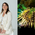 tamara-rubilar,-the-marine-biologist-who-turned-a-family-crisis-into-a-biotech-venture