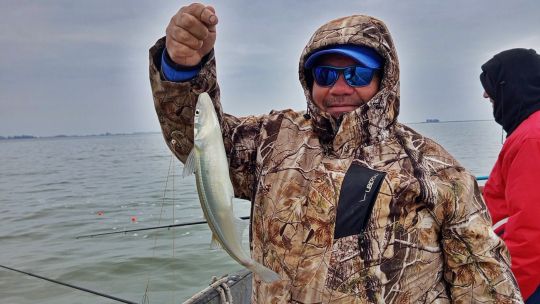 llego-junio:-asi-esta-la-pesca-en-el-pais