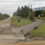 buscan-a-una-adolescente-de-15-anos-desaparecida:-salio-del-colegio-y-no-volvieron-a-verla
